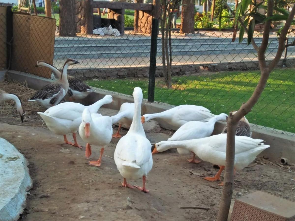 Royal Club & Resort Ahmedabad Eksteriør billede